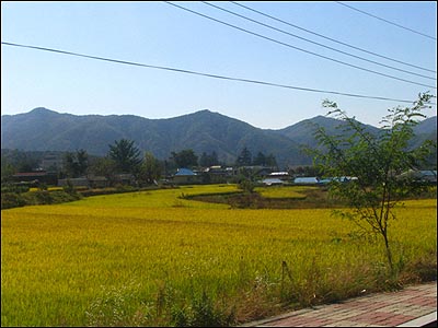 김유정 문학촌 앞엔 너른 들판이 펼쳐져 있다. 